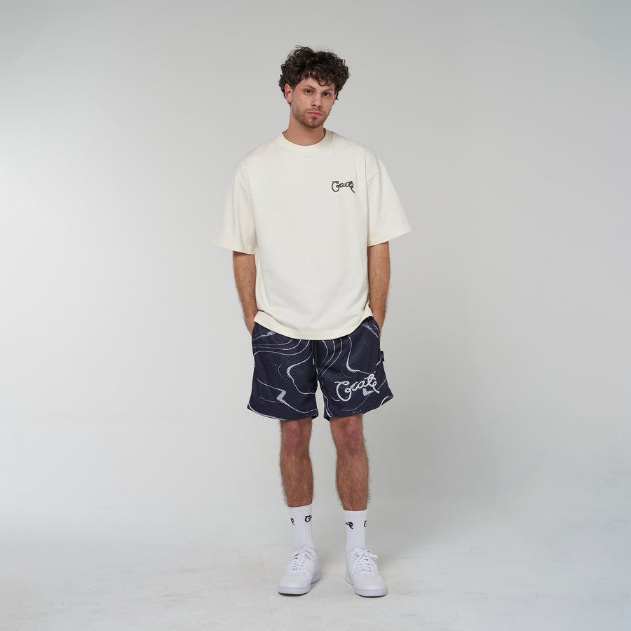 Crate Script Marble Mesh Shorts