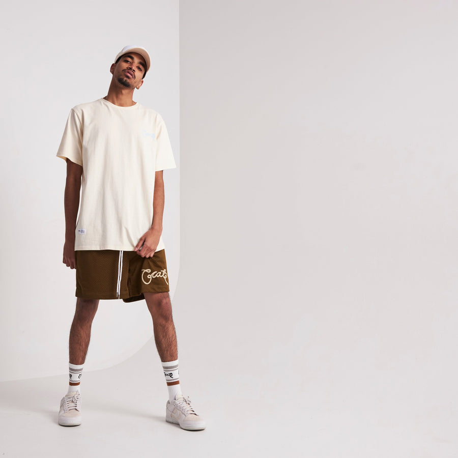 Men's Scripted Mesh Shorts